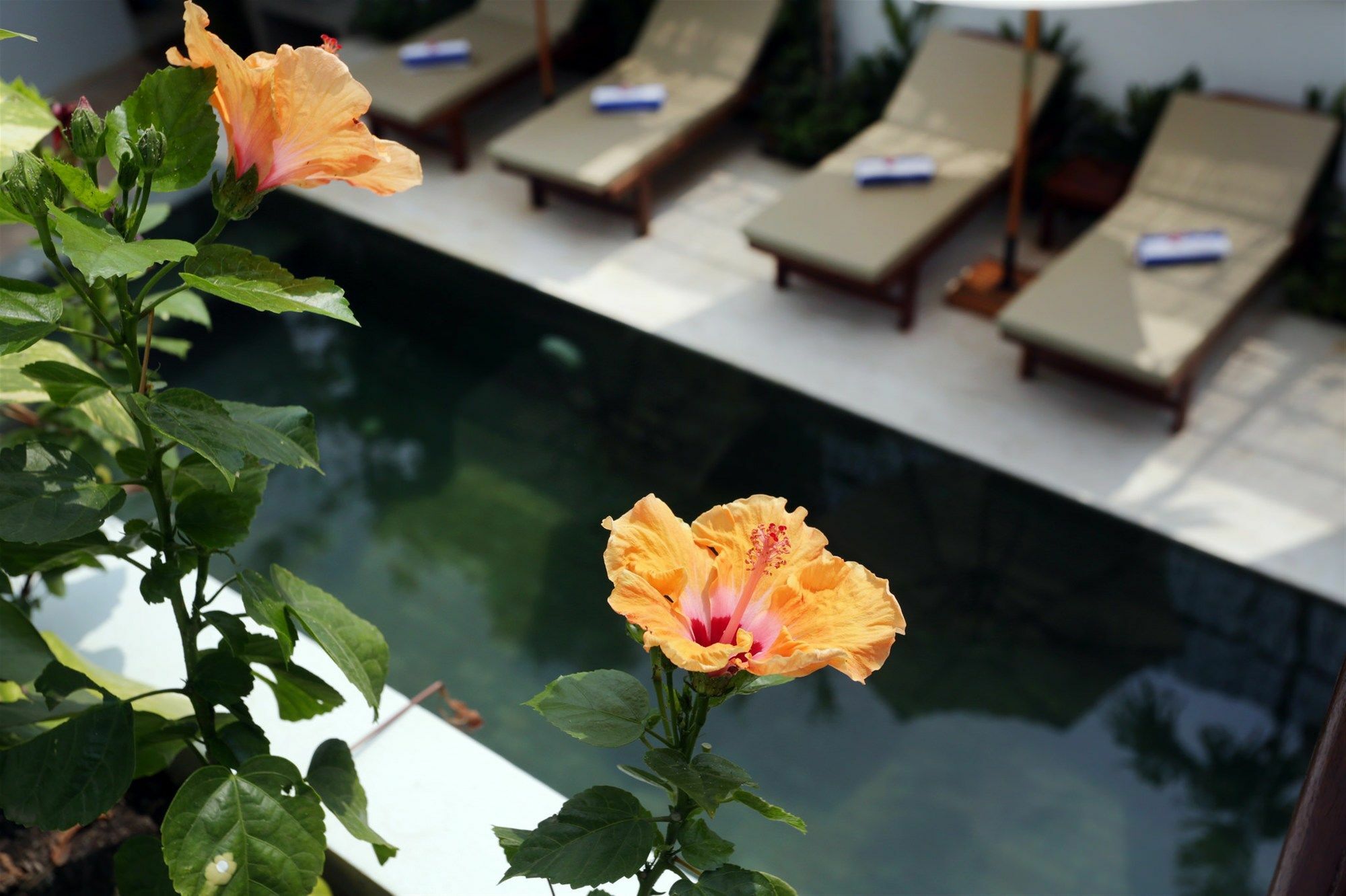 Sam So Boutique Villa Siem Reap Luaran gambar